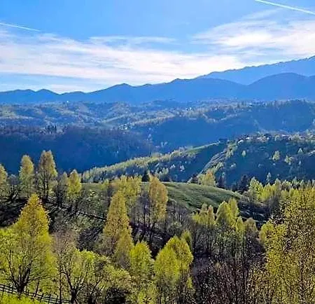 Alpine Escape Hotel Braşov