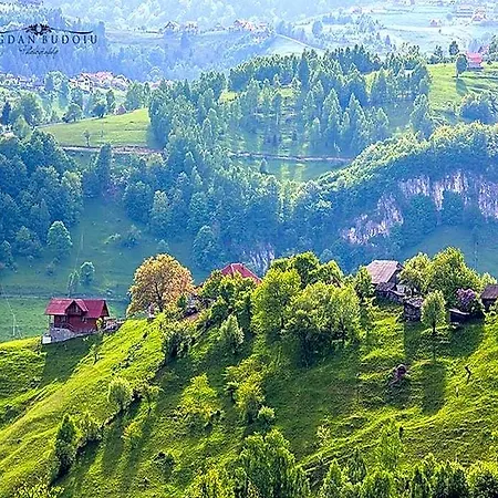 Alpine Escape