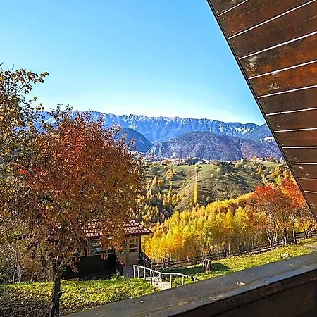Alpine Escape * Braşov