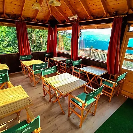 Alpine Escape Hotel