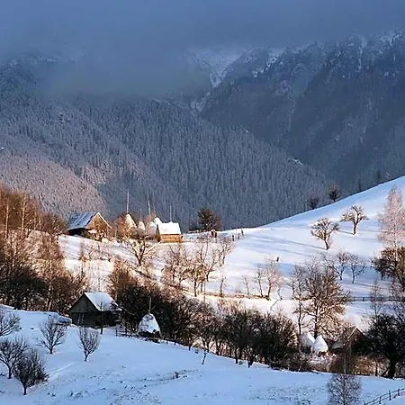 Alpine Escape Hotel *