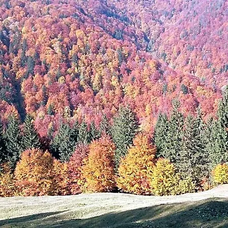 ホテル Alpine Escape