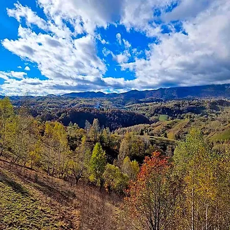 Alpine Escape Braşov